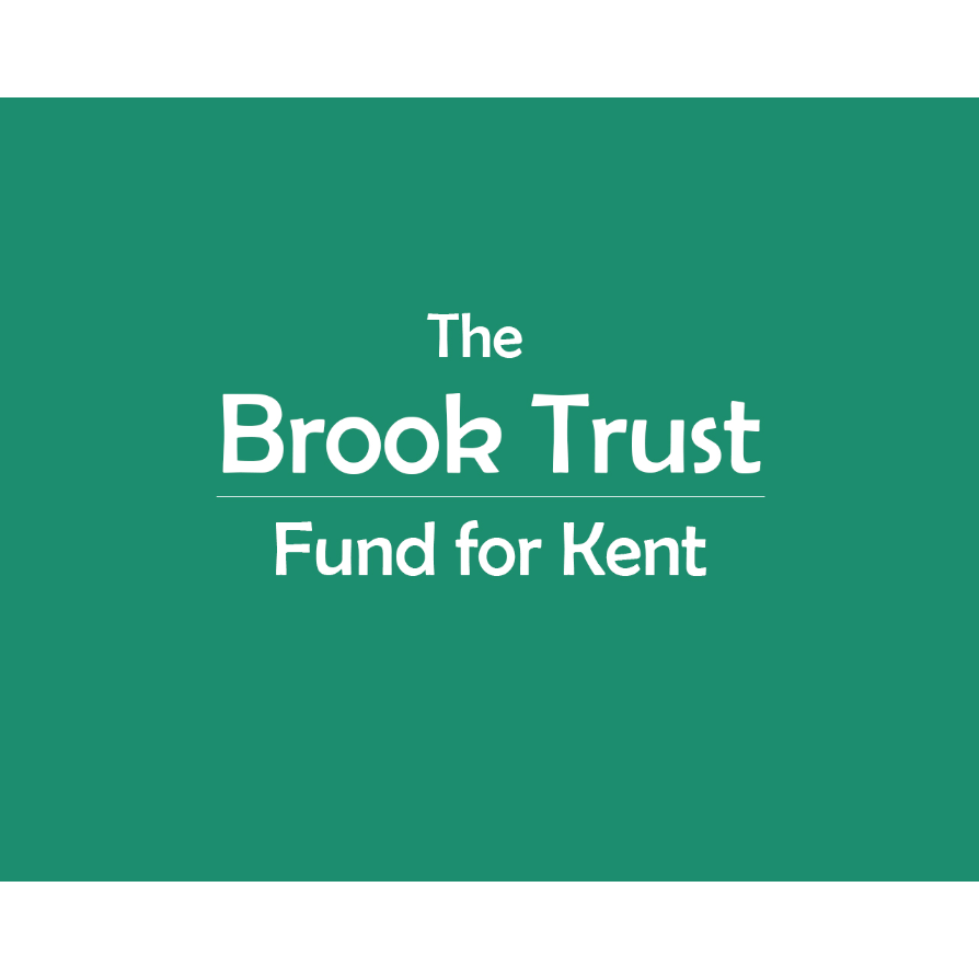 The Brook Trust For Kent